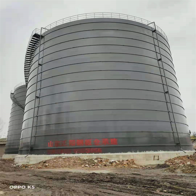 寿县3万吨大型钢板库