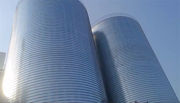 寿县2座混凝土高架卷板仓